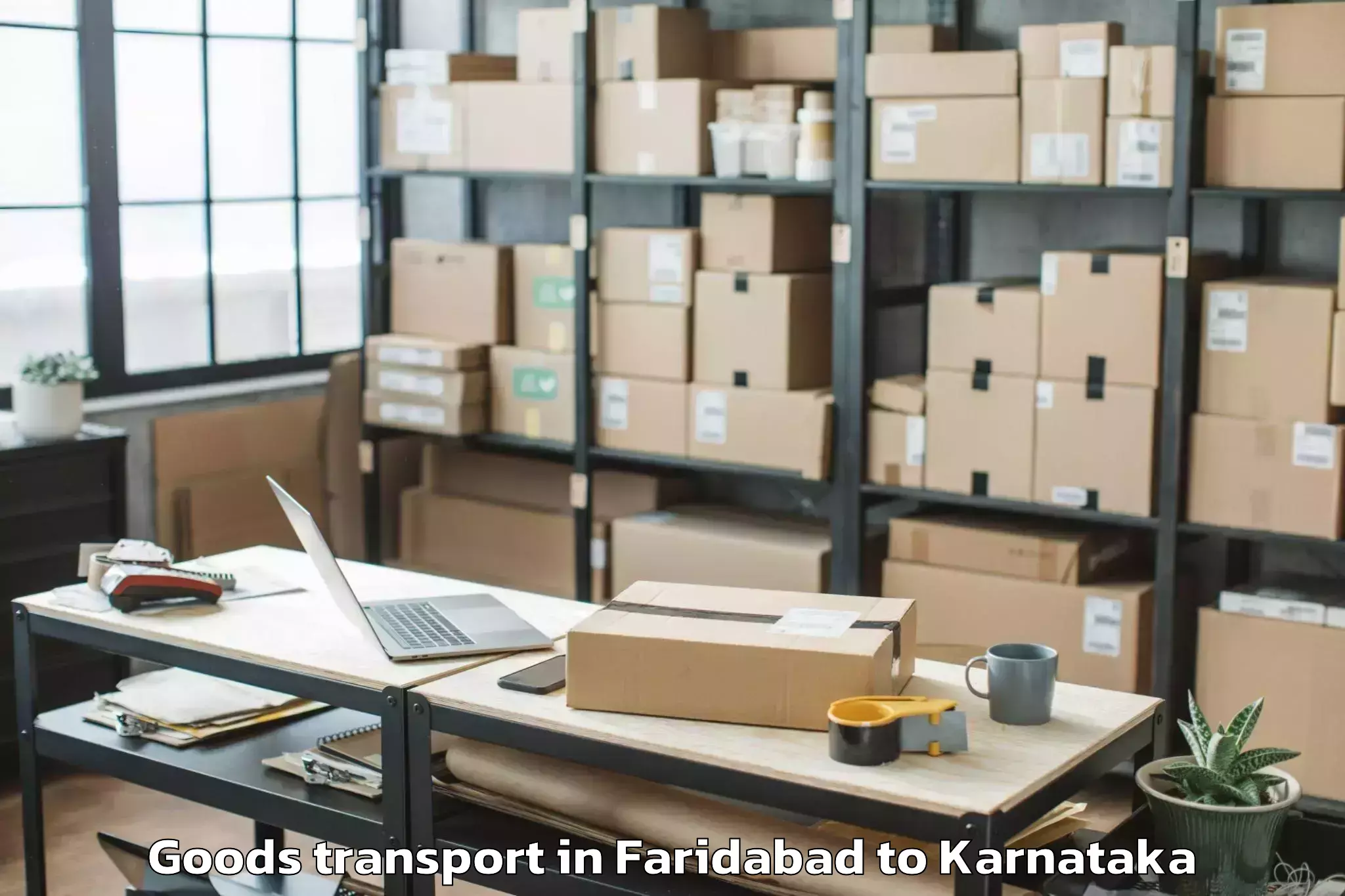 Quality Faridabad to Salahalli Goods Transport